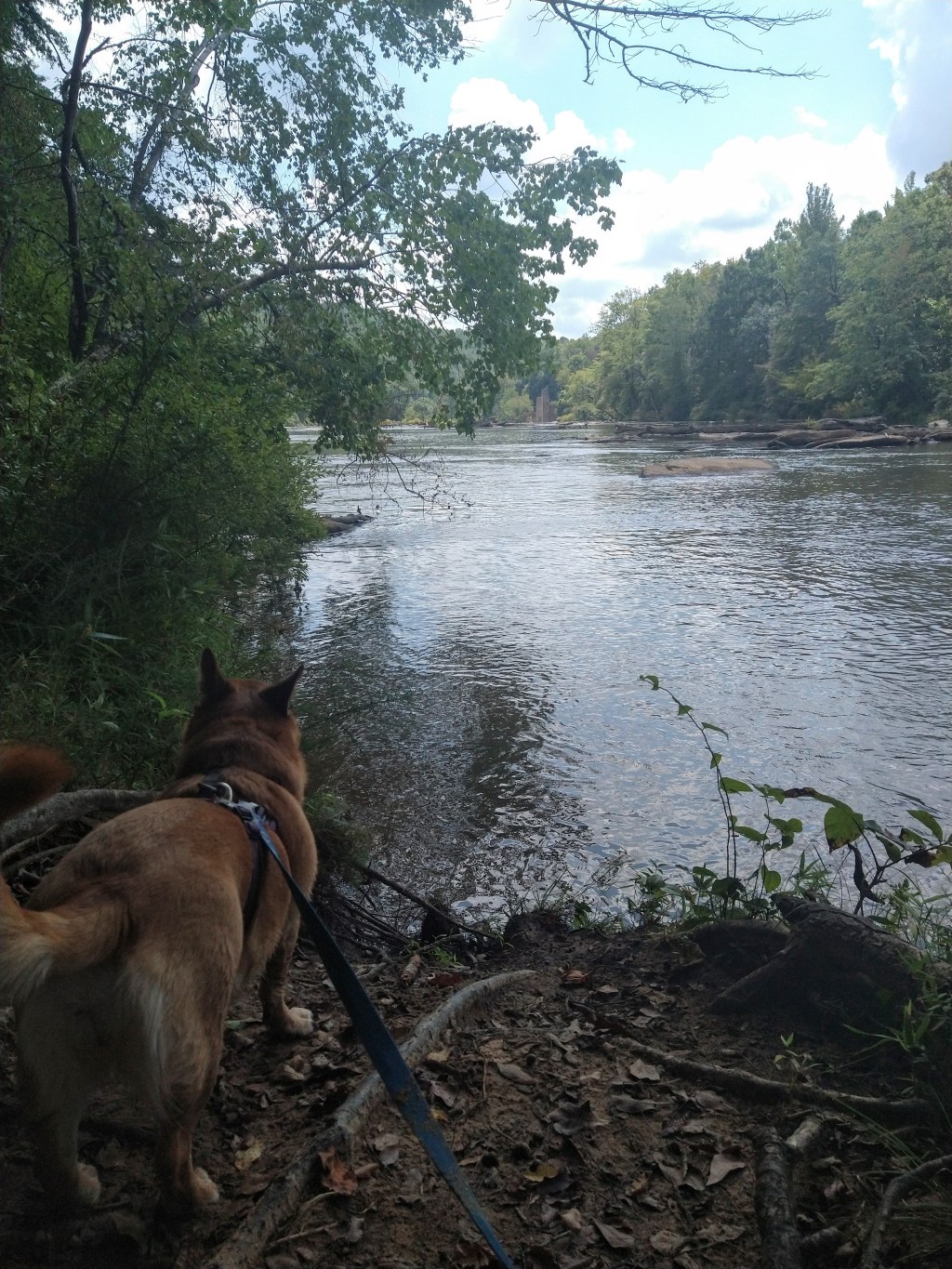 Sweetwater Creek State Park&nbsp;Hike